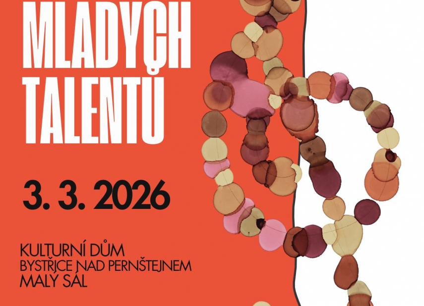 KONCERT MLADÝCH TALENTŮ - ZUŠ