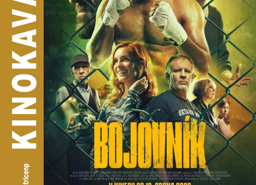 BOJOVNÍK
