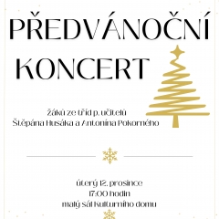ZUŠ - PŘEDVÁNOČNÍ KONCERT
