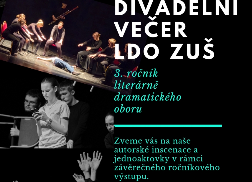 DIVADELNÍ VEČER LDO - ZUŠ