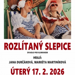 ROZLÍTANÝ SLEPICE