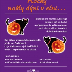 KOČKY NAŠLY DÝNI V SÍNI…