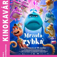 MRZUTÁ RYBKA
