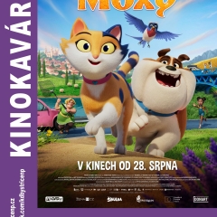 SLEČNA MOXY