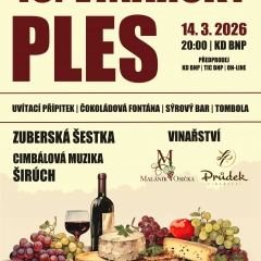 19. VINAŘSKÝ PLES