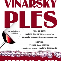 16. VINAŘSKÝ PLES
