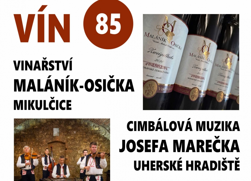 85. OCHUTNÁVKA VÍN