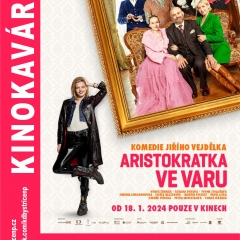 ARISTOKRATKA VE VARU