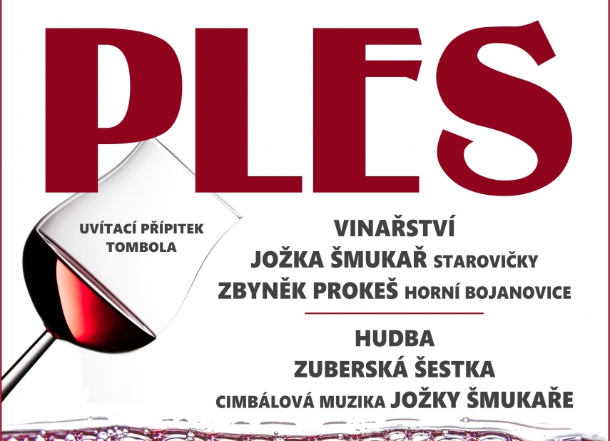 16. VINAŘSKÝ PLES