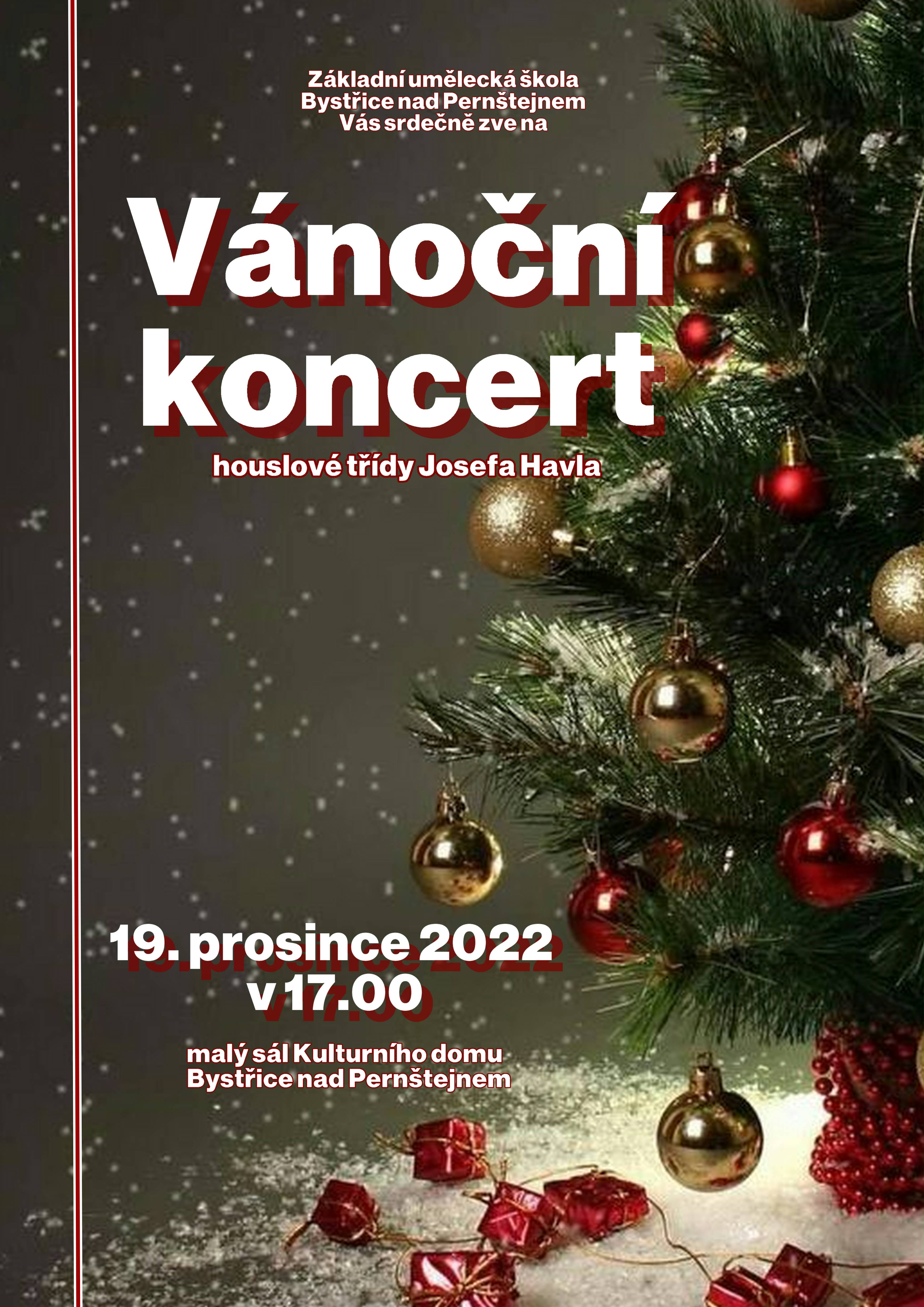 ZUŠ - VÁNOČNÍ KONCERT HOUSLOVÉ TŘÍDY J. HAVLA